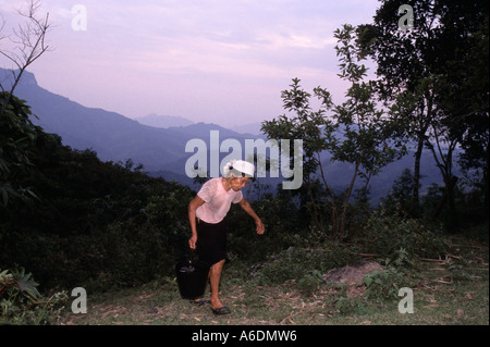 Les personnes âgées des minorités ethniques Tay femme porte l'eau à la maison de la Réserve Naturelle du Gia Vietnam Ha Giang province Banque D'Images