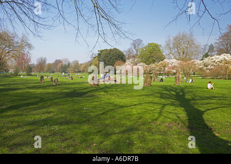 Les gens se détendre autour de la Gorsedd Stone Circle dans Bute Park, Cardiff, Pays de Galles, Royaume-Uni Banque D'Images