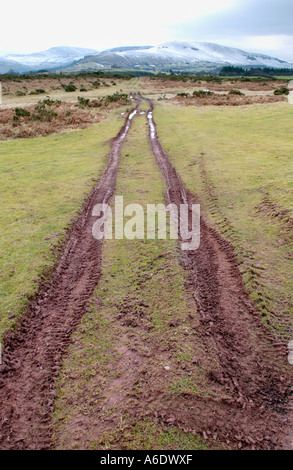 Voir plus de Mynydd Illtyd, Commune du Parc National de Brecon Beacons, Powys Pays de Galles UK montrant les dommages causés par les agricultrices et les véhicules 4x4 Banque D'Images