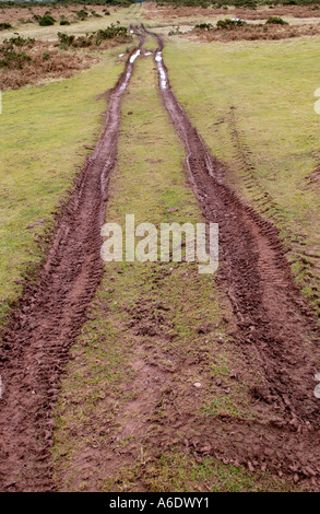 Voir plus de Mynydd Illtyd, Commune du Parc National de Brecon Beacons, Powys Pays de Galles UK montrant les dommages causés par les agricultrices et les véhicules 4x4 Banque D'Images