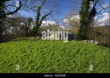 Partie de la ruine murs de Bramber Castle, Sussex de l'Ouest contre le ciel bleu Banque D'Images