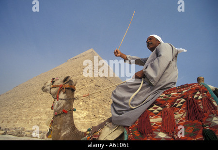 L'homme monté sur un chameau en face de la pyramide de Khéphren à Gizeh, Egypte Banque D'Images