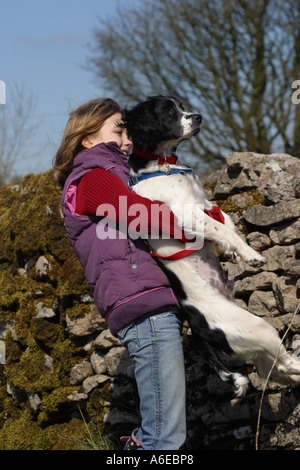 Jeune fille soulevant son chiot chien Springer Spaniel Anglais jusqu'à voir sur un mur Banque D'Images