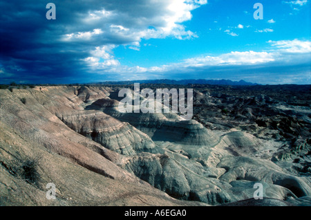 Le parc Ischigualasto à l'ouest de l'Argentine Banque D'Images