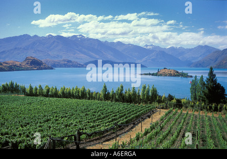 Rippon Vineyard at Lake Wanaka Central Otago en Nouvelle-Zélande Banque D'Images