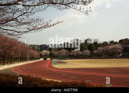 Champ d'une piste de course bordée de cerisiers dans un centre sportif dans Kita-Matsudo, Matsudo City, préfecture de Chiba, au Japon. Banque D'Images