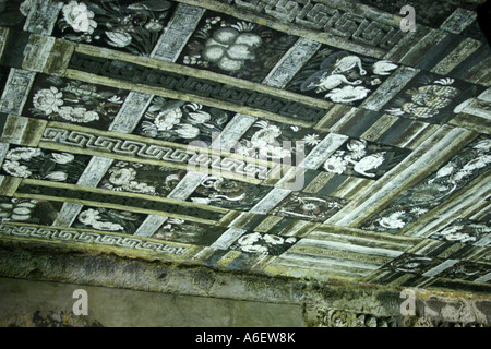 Des peintures au plafond du Cave No1 ,Ajanta caves ,Maharashtra Inde Banque D'Images