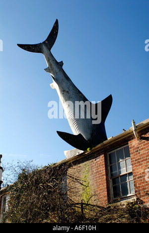 Dans le pavillon des requins d'installation d'art à Oxford Headington Banque D'Images