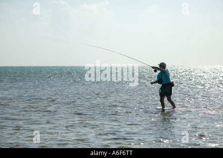 Ambergris Caye BELIZE mâles adultes de mouche au appartements le long du littoral pour bonefish casting vole avec la main gauche Banque D'Images