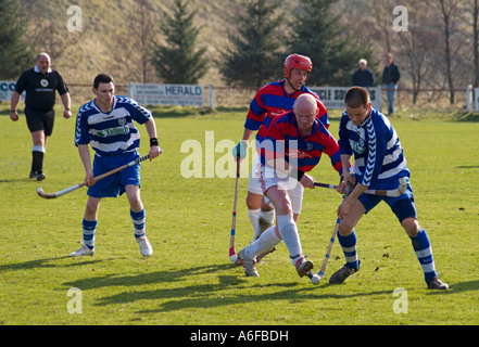 Correspondance entre Shinty Newtonmore et Kingussie Banque D'Images