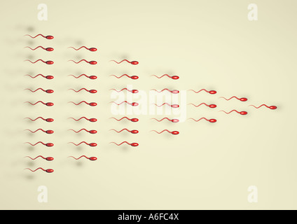 La fécondation des spermatozoïdes insémination fécondation Befruchtung Spermien graphiques 3D Banque D'Images