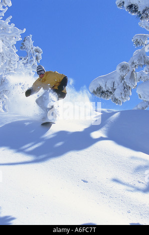 Un homme snowboard en poudreuse à pointe de diamant près du lac Tahoe en Californie Banque D'Images