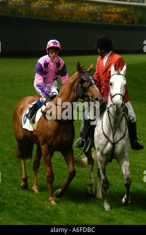 Deux chevaux et jockeys à l'hippodrome de Happy Valley, l'île de Hong Kong, Chine, l'Extrême-Orient, l'Asie Banque D'Images