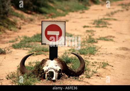 Pas d'entrée signe sur une route du désert en Afrique du Sud Banque D'Images