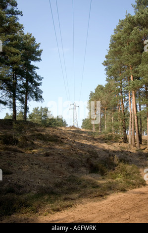 Pylônes et lignes électriques traversant Hankley Common Surrey UK MOD la Lande Banque D'Images