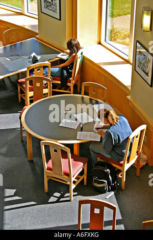 Deux femmes d'élèves étudiant dans une nouvelle bibliothèque Oregon State University à Corvallis Oregon Banque D'Images