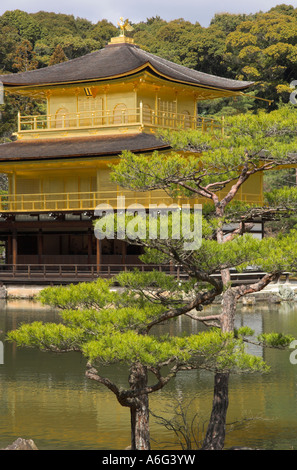 Le Japon Honshu central Kyoto Kansai Kinkaku ji Rokuon ji pavillon doré avec vue lac et arbre dans frgd Banque D'Images