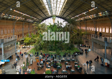 Jardin tropical dans l'ancien bâtiment de la gare d'Atocha, Madrid, Espagne Banque D'Images