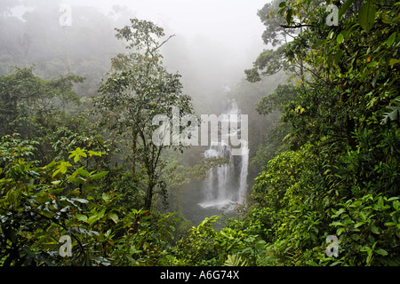 Cascade, Rara Avis, Las Turrialba, Costa Rica Banque D'Images