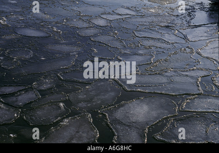 Les floes de glace sur le lac, l'eau sombre ; Fraueninsel, Chiemsee, Bayaria, Allemagne Banque D'Images