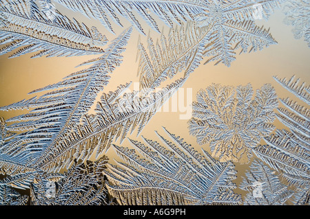 Fleurs de givre sur la fenêtre Banque D'Images