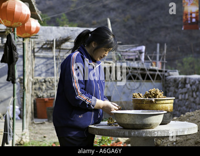 Jeune femme chinoise LA CHINE Chuandixia la préparation de champignons sauvages séchés pour un pays traditionnel restaurant Banque D'Images