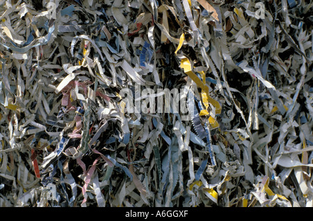 Les déchets de papier de couleur stripes Banque D'Images