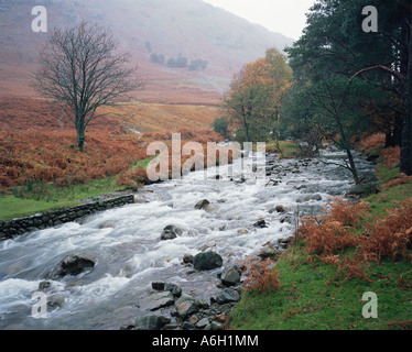 Cours d'eau par paysage en Cumbria Banque D'Images