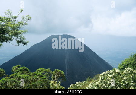 Volcan Izalco el Salvador Banque D'Images