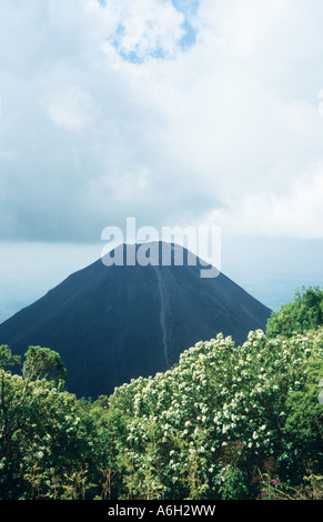 Volcan Izalco el Salvador Banque D'Images