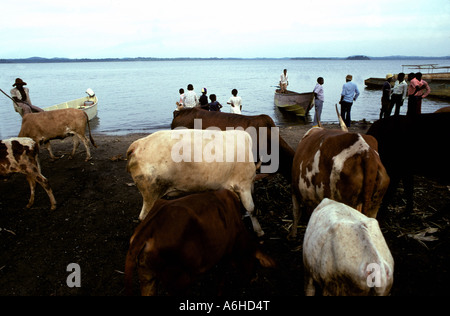 Les jeunes aiment se réunir par Lakeside à Kampala Ouganda Afrique sur un dimanche après-midi Banque D'Images