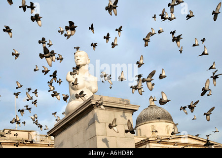 Des oiseaux volent au-dessus d'une statue à Trafalgar Square, Londres Banque D'Images