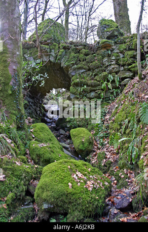 Vieux pont de pierre sur la vapeur minuscule près de Ambleside dans le Lake District. Banque D'Images