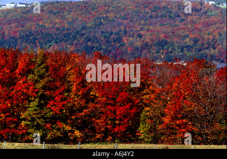 Canada Québec Chaudière-Appalaches Indian Summer Banque D'Images