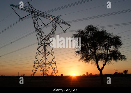 Un arbre et des lignes de transmission à haute tension au coucher du soleil Banque D'Images
