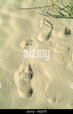 Des traces de pas dans le sable Angleterre Cornwall Rock Banque D'Images