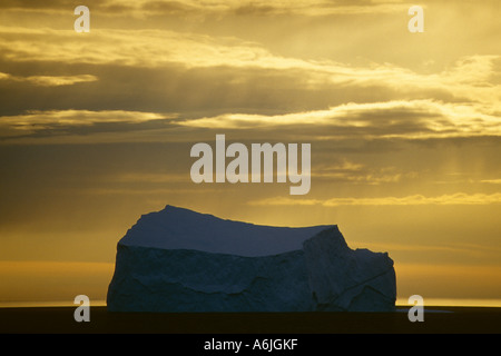 Iceberg dans la lumière du soir Banque D'Images