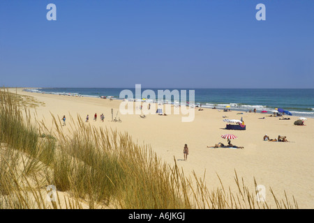 Le Portugal l'Algarve, Monte Gordo beach en été des dunes de sable Banque D'Images