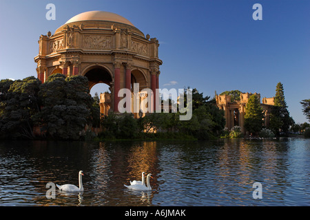 Les cygnes du Palace of Fine Arts, San Francisco Banque D'Images