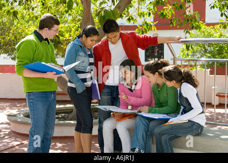 Une société multiraciale asiatique ethnique oriental group de six cadres étudiants adolescents étudier et comparer les notes ensemble dans la cour de l'école campus ensoleillé Banque D'Images