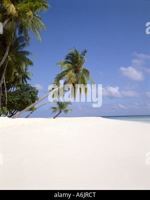 Vue sur la plage tropicale, l'île de Kuda Bandos, Kaafu Atoll, République des Maldives Banque D'Images