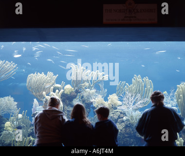 Aquarium et Musée des Bermudes, Hamilton, Bermudes Paroisse Banque D'Images