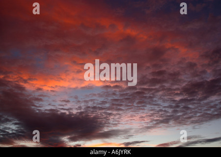 Colorée et moody maquereaux ciel à l'aube révélatrice d'un changement des conditions météorologiques montrant Cirrrocumulus et Altocumulus feuilles Banque D'Images