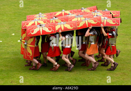 Ermine Street Guard démontrer la manœuvre défensive tortue dans l'affichage des techniques de combat à l'Amphithéâtre Romain Caerleon UK Banque D'Images