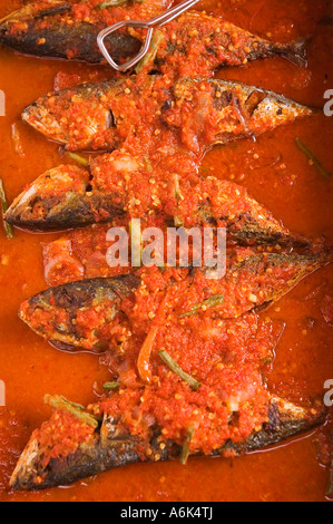 Poisson au Curry déjà cuits, ikan, à vendre à Bangsar Baru Sunday market, Kuala Lumpur, Malaisie. 2006 Banque D'Images