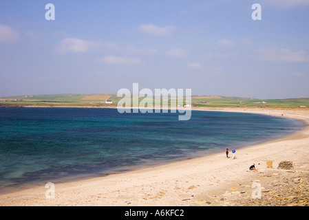 dh Bay of Skaill SANDWICK ORKNEY Ecosse marche avec chien soleil jour bleu ciel plage de sable Royaume-uni le long de la marche à distance