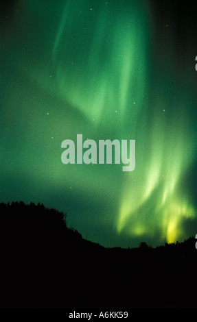 Aurora Borealis Haliaeetus Kenny Lake Alaska USA Banque D'Images