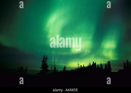 Aurora Borealis Haliaeetus Kenny Lake Alaska USA Banque D'Images