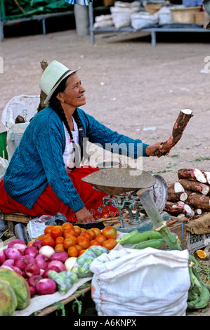Femme vêtements traditionnels la vente des produits au marché du dimanche dans le village de Gualaceo près de Cuenca Equateur Banque D'Images