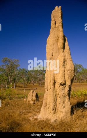 Termitières géantes dans les prairies de savane, , le Litchfield National Park, Territoire du Nord, Australie, Banque D'Images